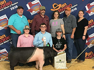 Malay Showpigs CHampions