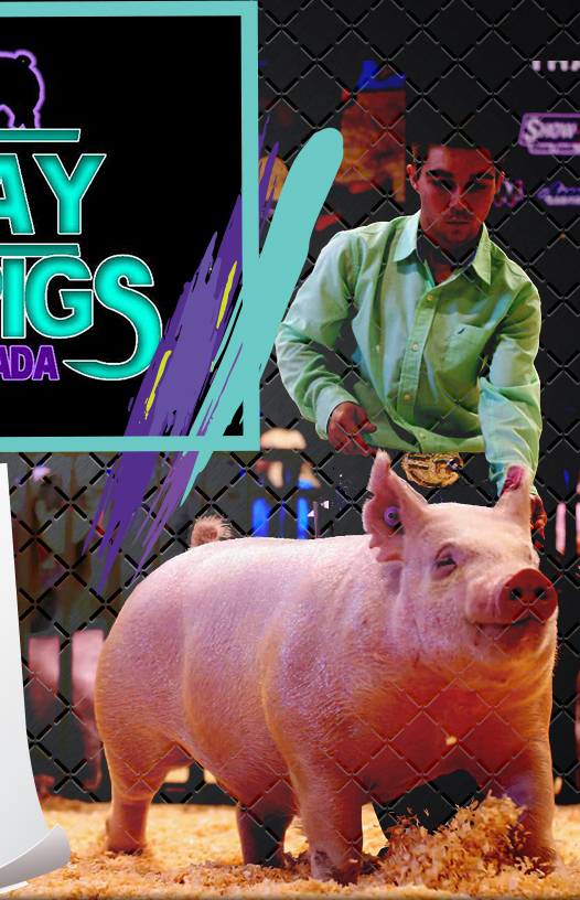 Malay Showpigs